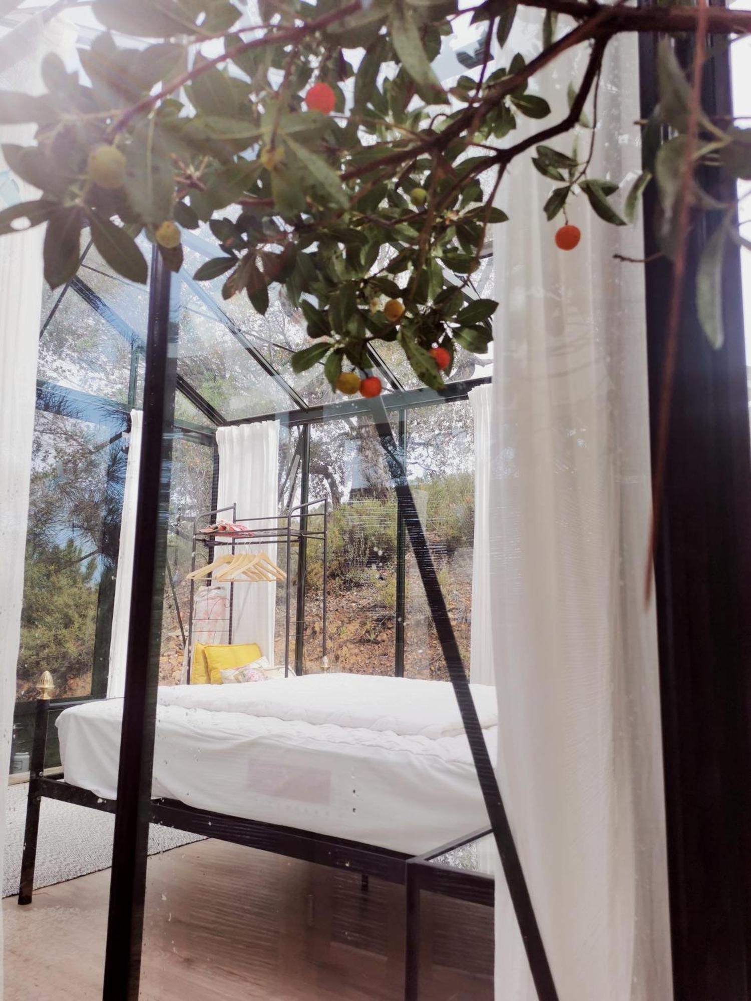 Romantic Skyview Glasshouses Rogil Ngoại thất bức ảnh